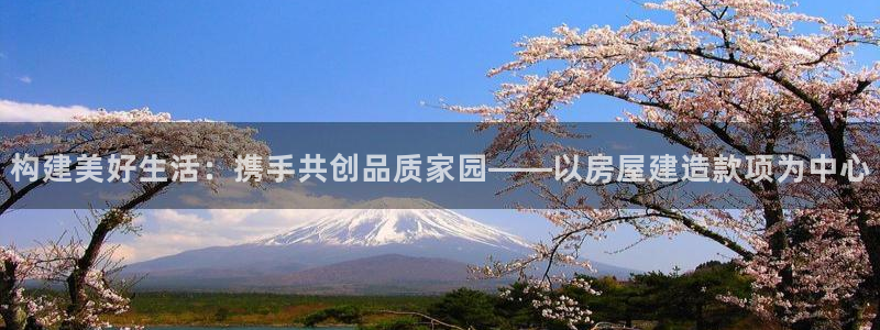 NG体育播报