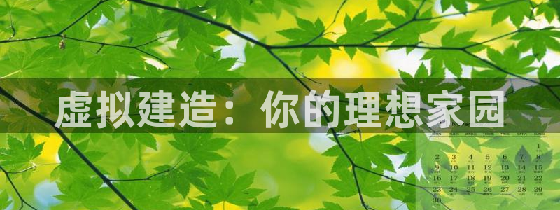 NG体育社